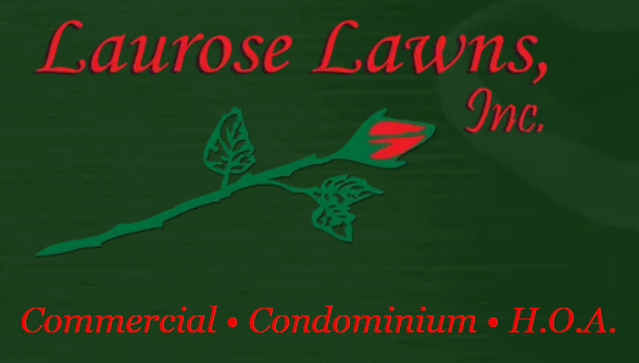 carousel chooser