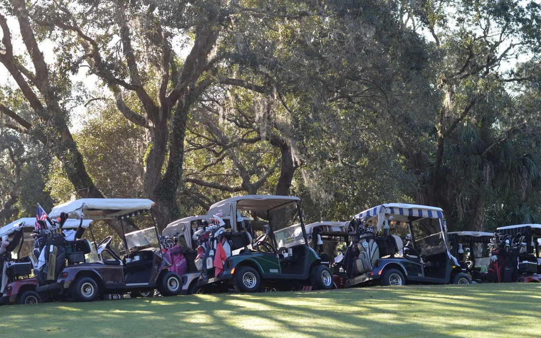 Gaggle of cart
